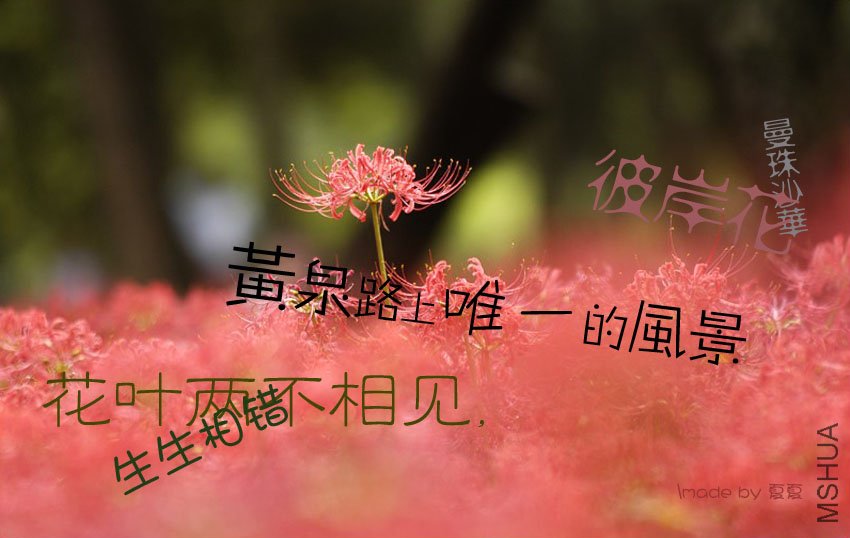 e46667bfc1a8a70419d81f12.jpg