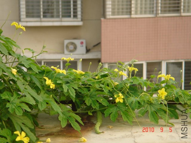 DSC07044.JPG