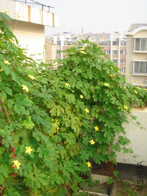 DSC07045.JPG