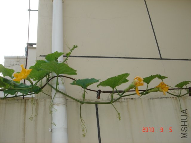 DSC07028.JPG