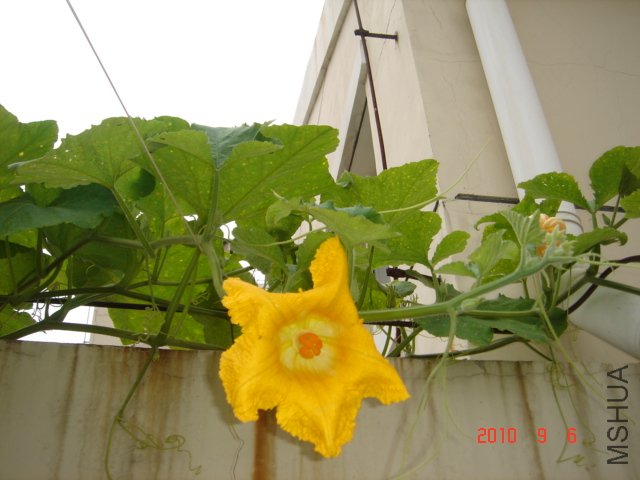 DSC07052.JPG