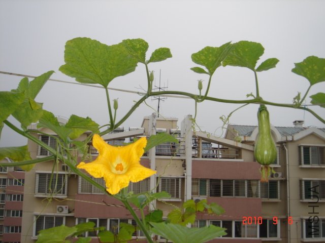 DSC07050.JPG