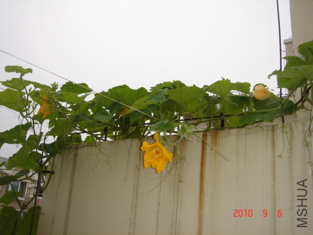 DSC07049.JPG