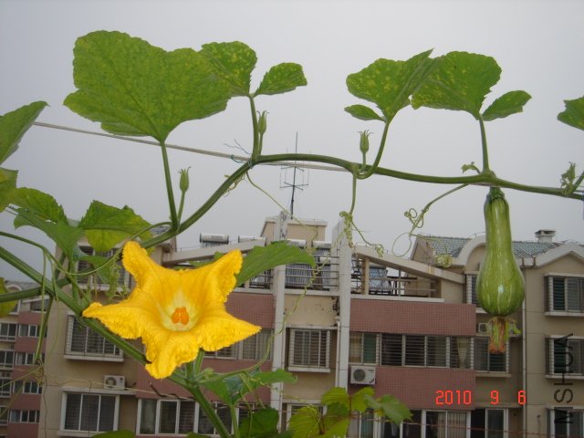 DSC07051.JPG