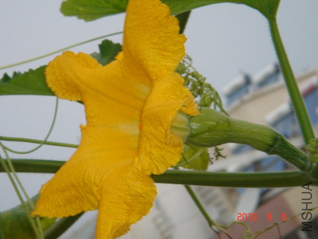 DSC07057.JPG