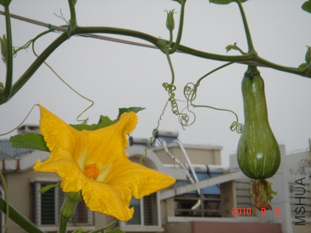 DSC07058.JPG