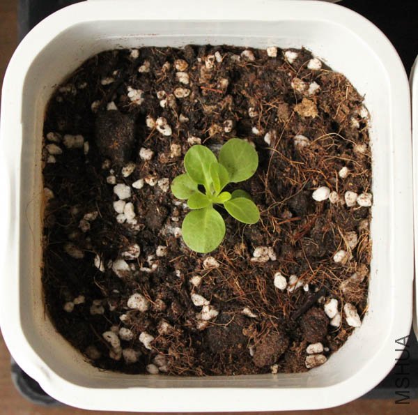 ��������������