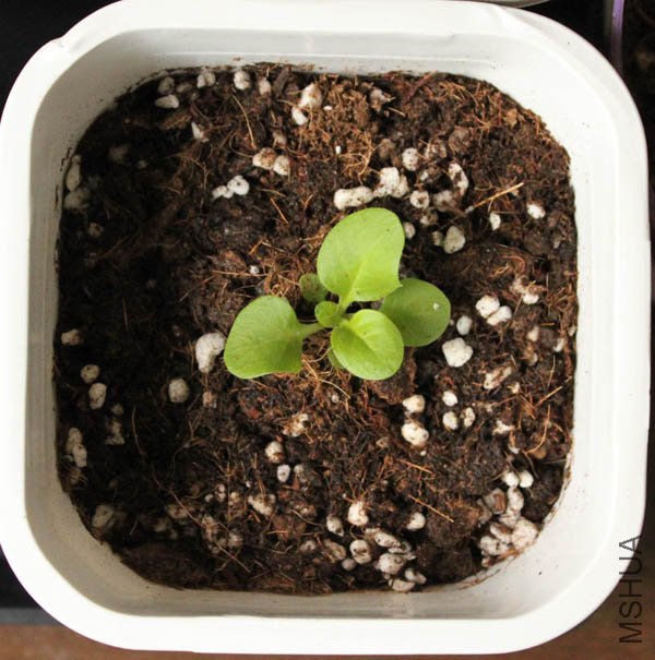 ��ת��ɫ����