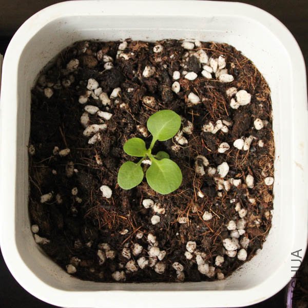 ��ת��ɫ����