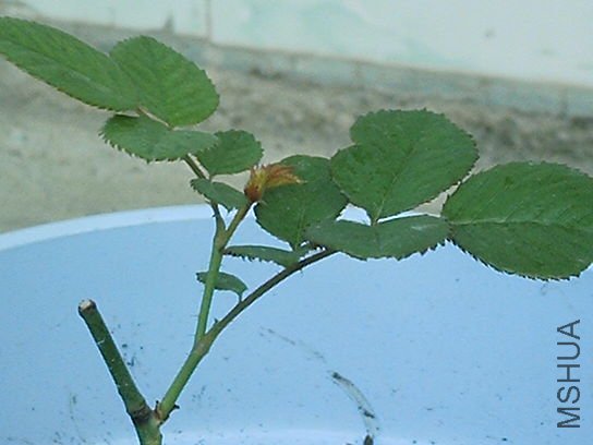 IMAG0064.JPG