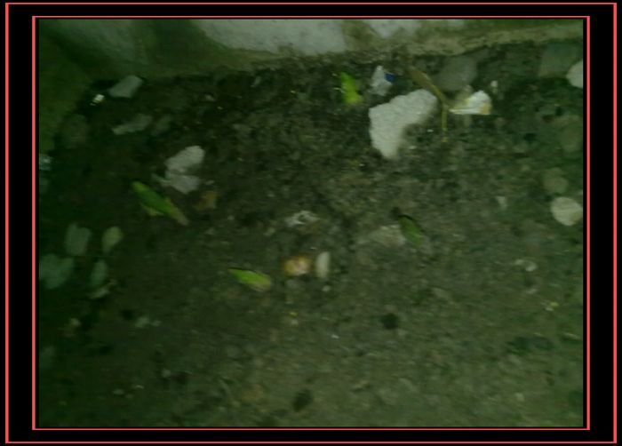 20100907098.jpg