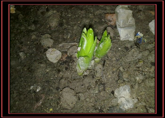 20100907097.jpg