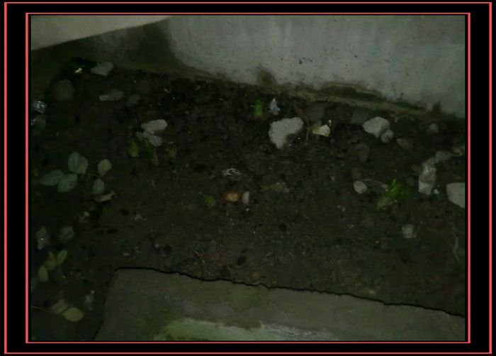 20100907099.jpg
