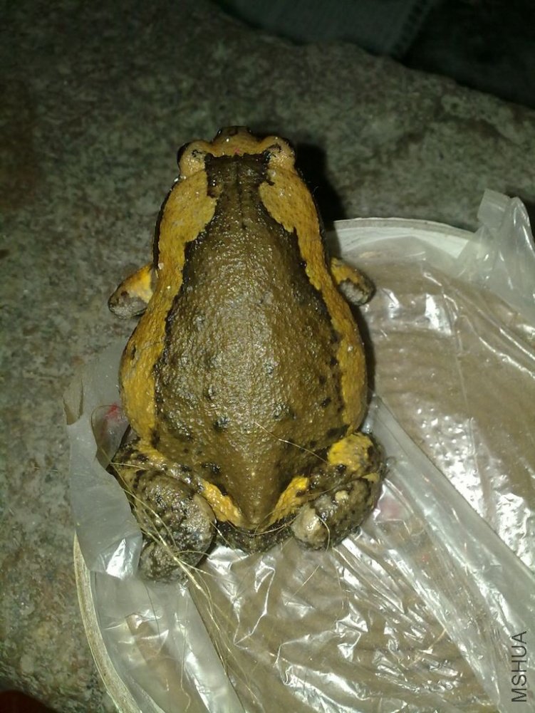 20100903086.jpg