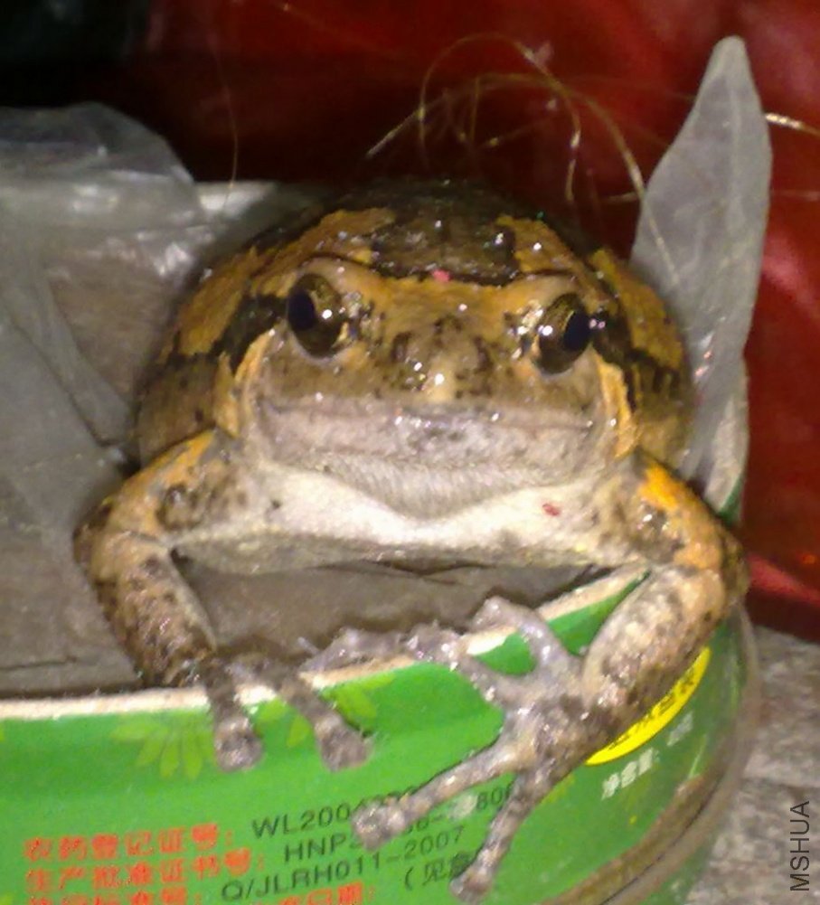20100903084.jpg