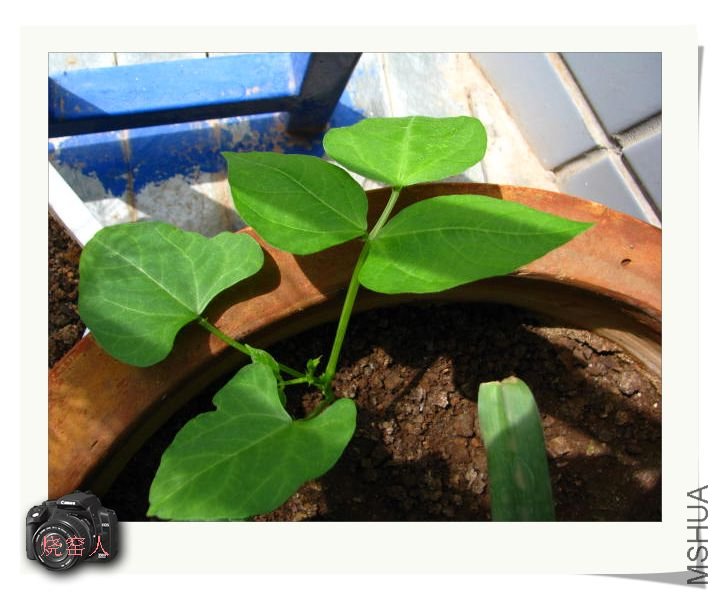 ����֮ǰ��������