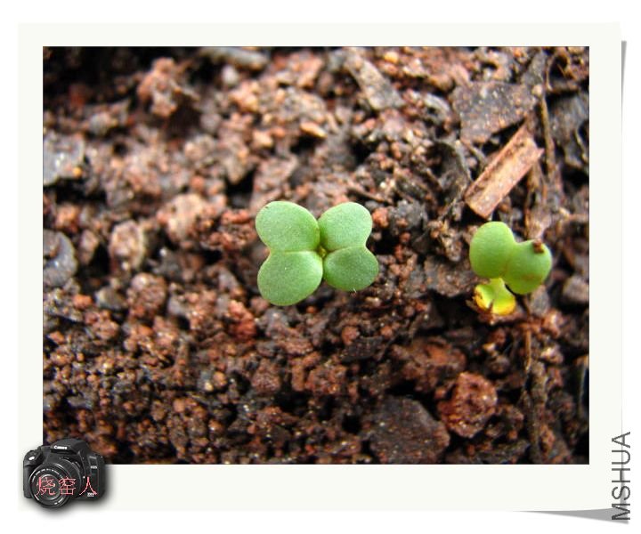 ���ǽ�ˣ�2010.09.01�ող��ֵ�