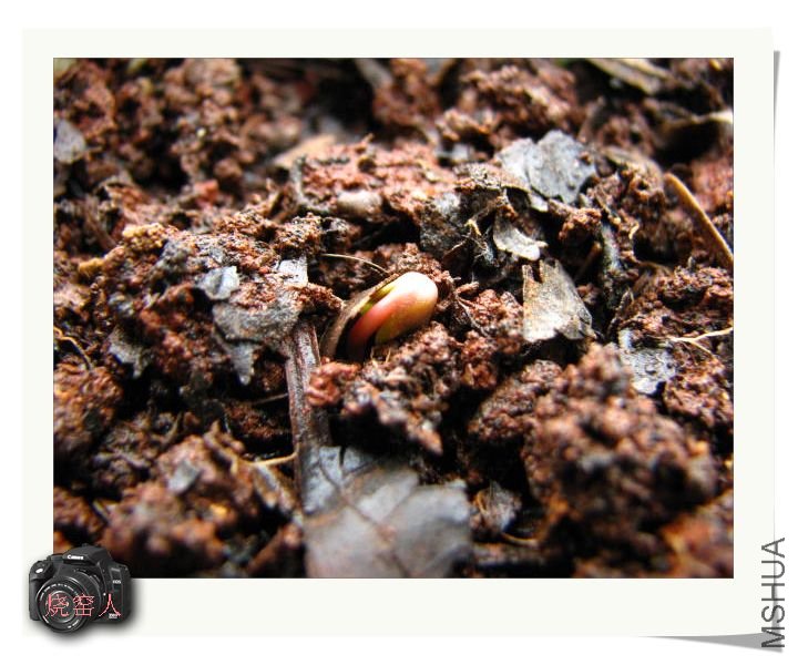 �����ܲ��磬Ҳ��2010.09.01�ղ��ֵ�