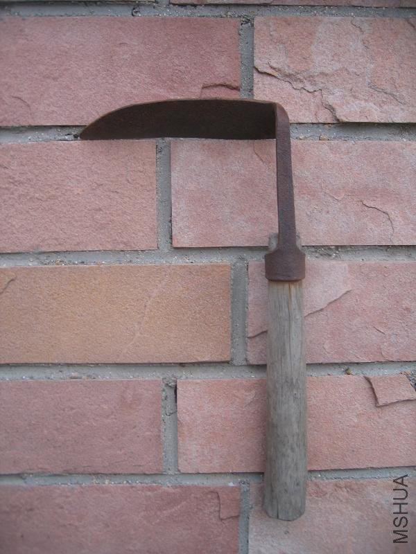 ���յ���������30�������е�