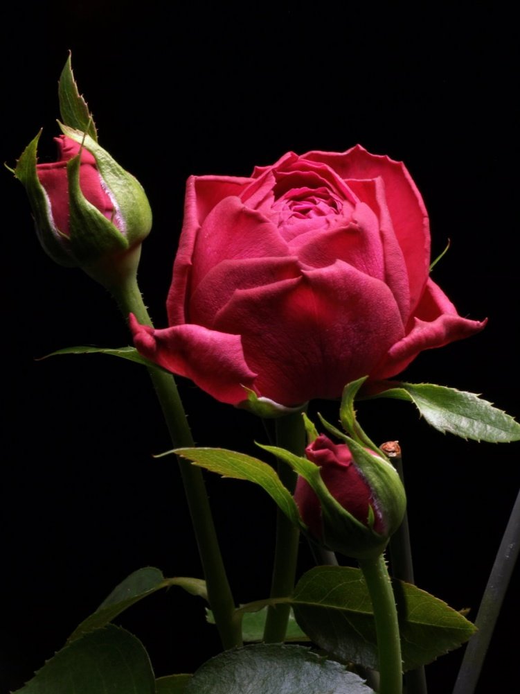 �tɫ����@22.jpg