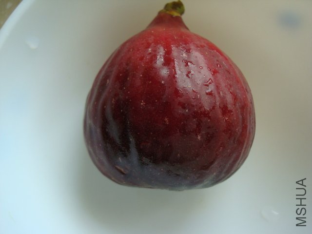 �������޻���5.JPG