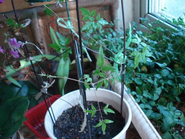 DSC05071.JPG