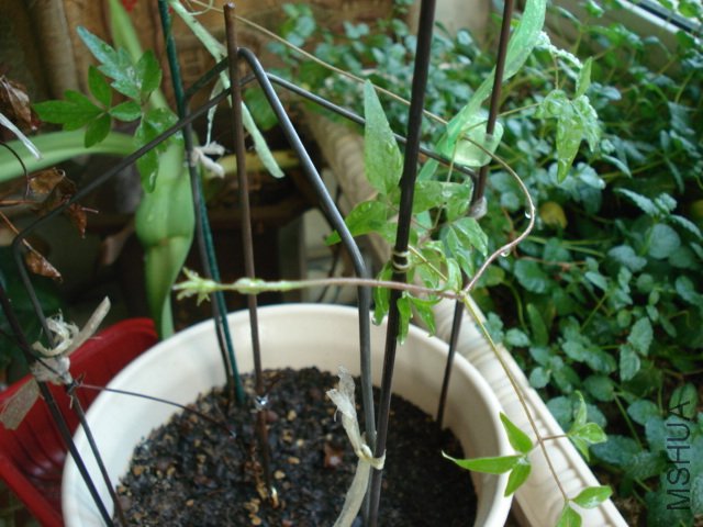 DSC05073.JPG