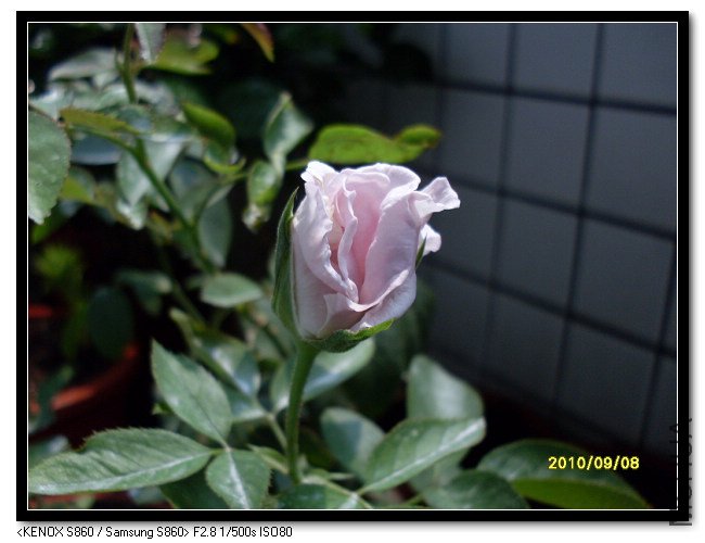 SDC15157_nEO_IMG.jpg