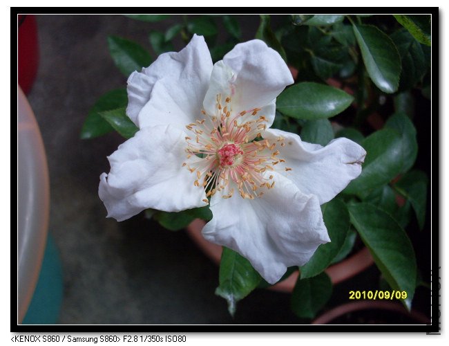 SDC15167_nEO_IMG.jpg