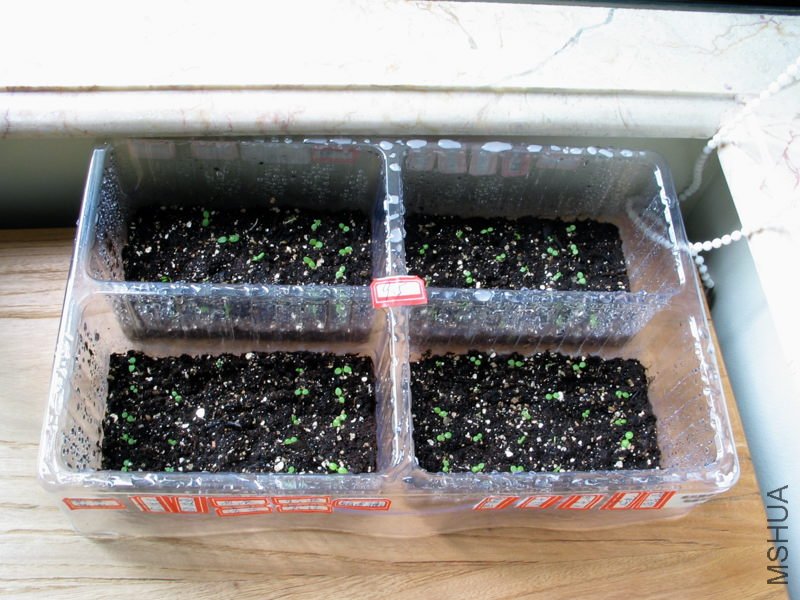 9.5�ղ��İ�ţ