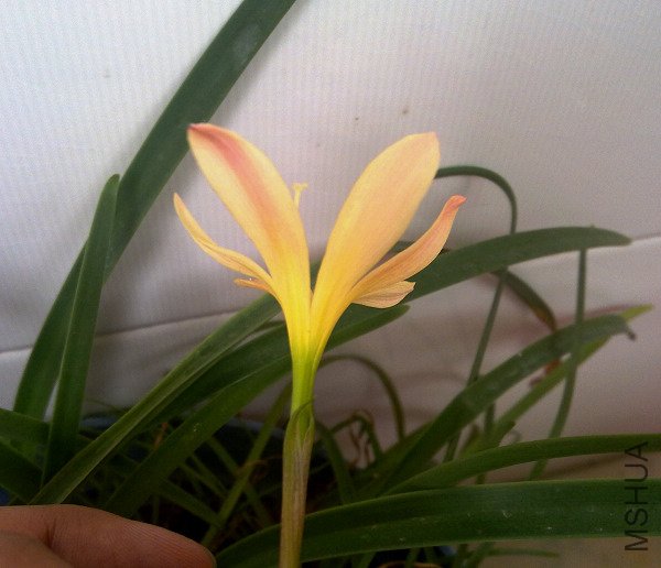 20100910476.jpg