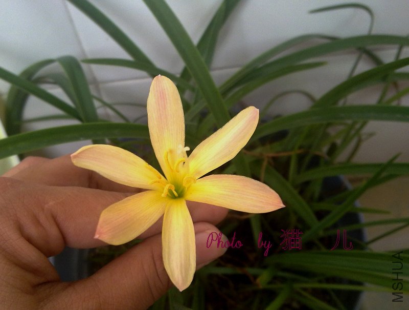 20100910478.jpg
