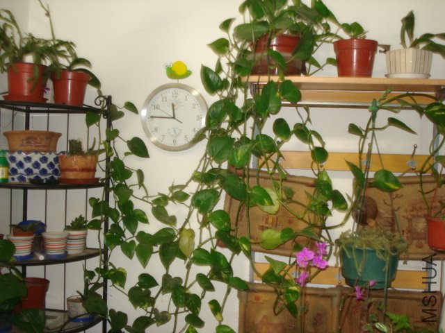 DSC05070.JPG