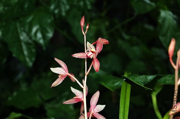 DSC_02780278.JPG