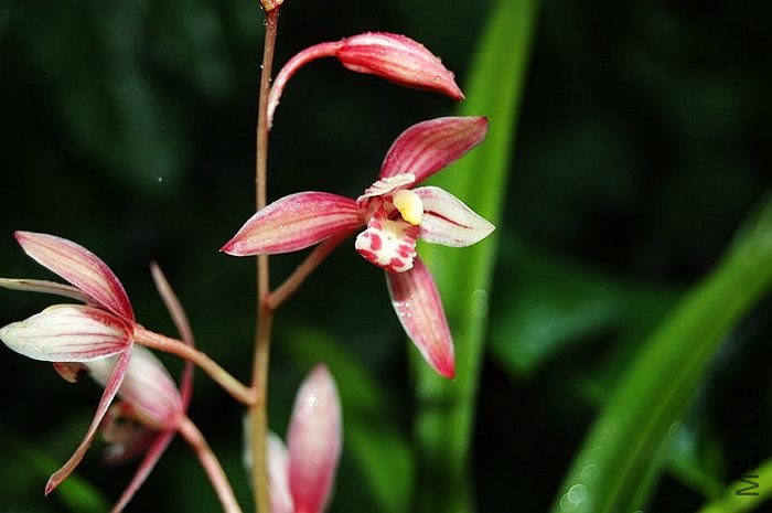 DSC_02760276.JPG