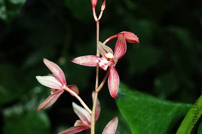 DSC_02690269.JPG