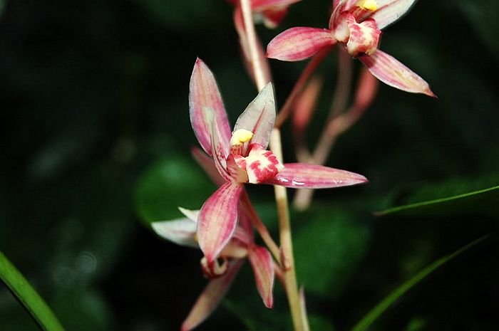 DSC_02610261.JPG