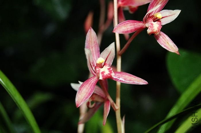 DSC_02560256.JPG