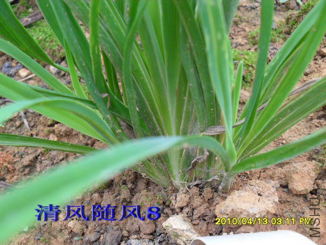 ��Ȼ�������ݴ�