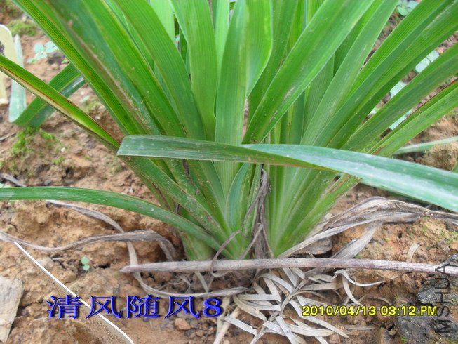 ��Ȼ�������ݴ�