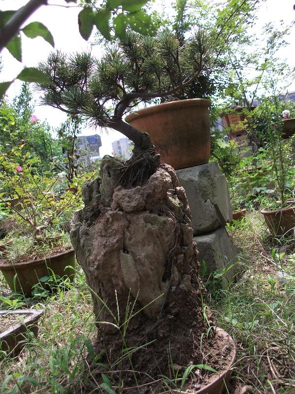 DSCF0142.JPG