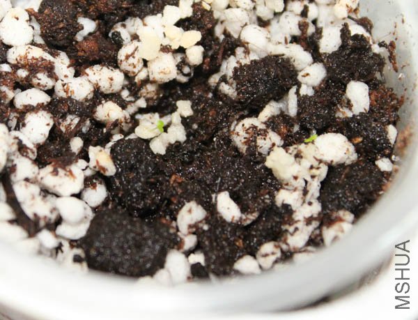 ���ҷ���