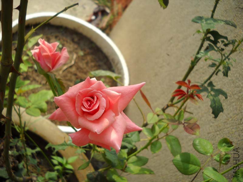 ��Ƭ 084.jpg