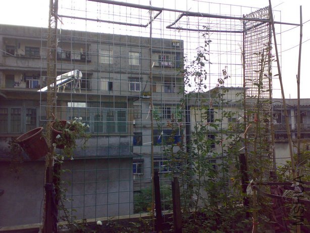20100830461.jpg