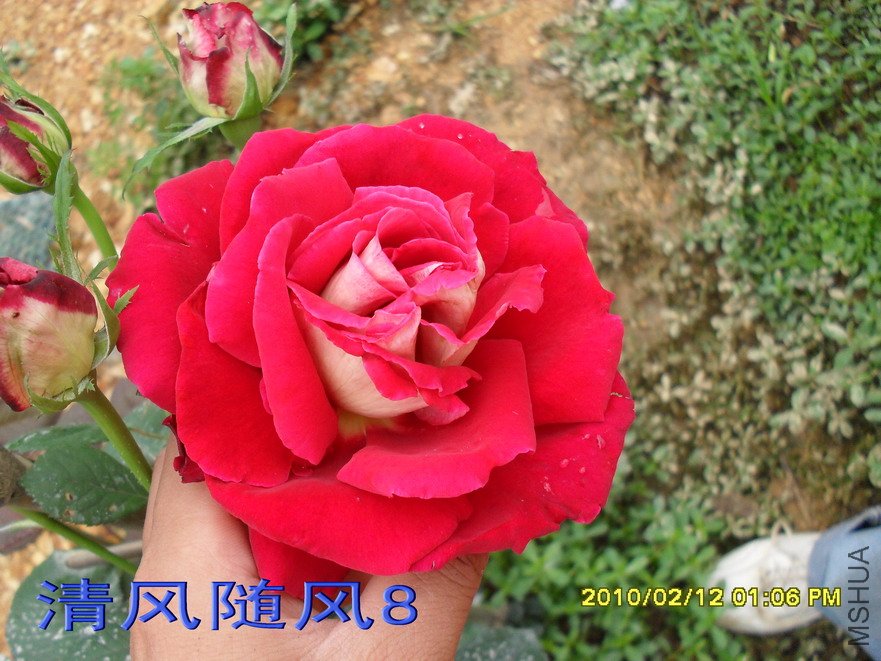 �����Ѿ�11 (6).jpg