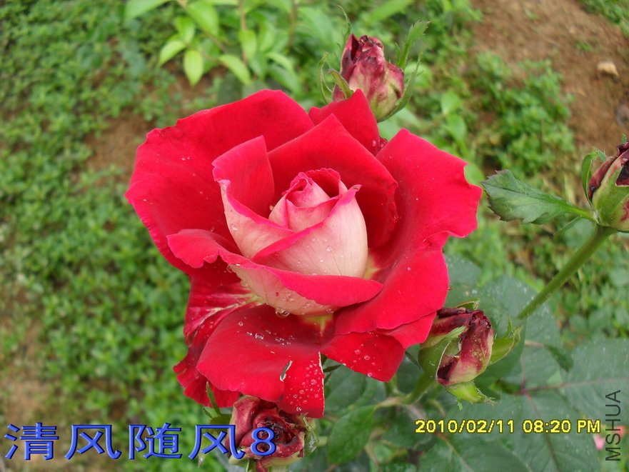 �����Ѿ�11 (2).jpg