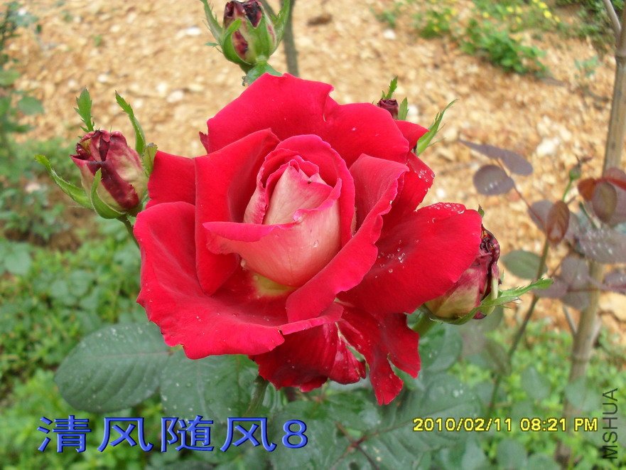 �����Ѿ�11 (5).jpg