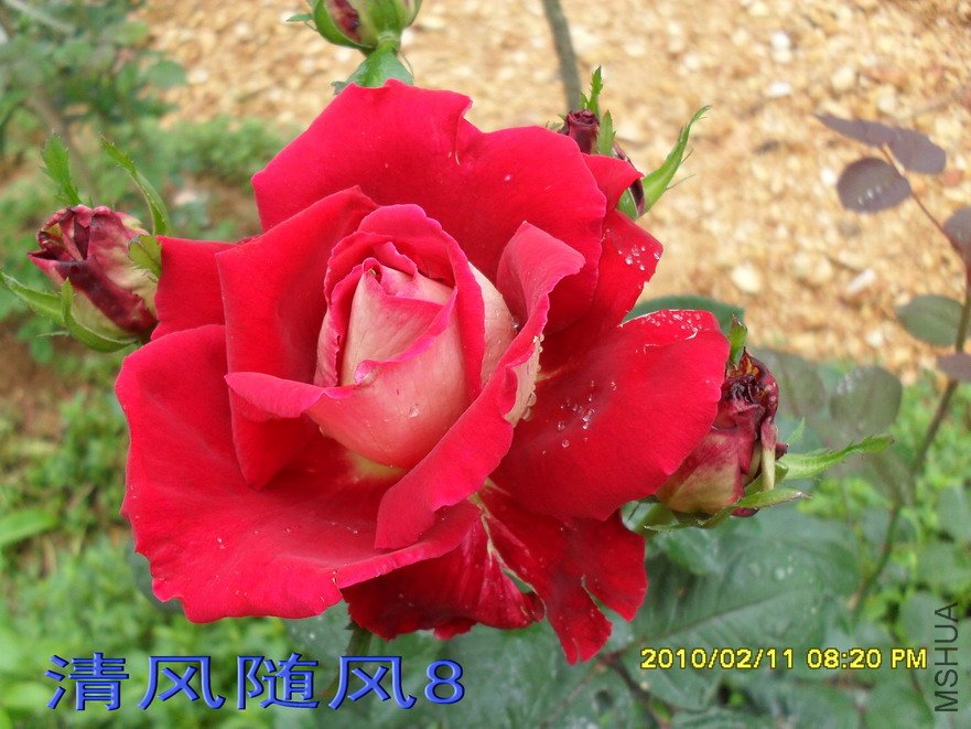 �����Ѿ�11 (4).jpg