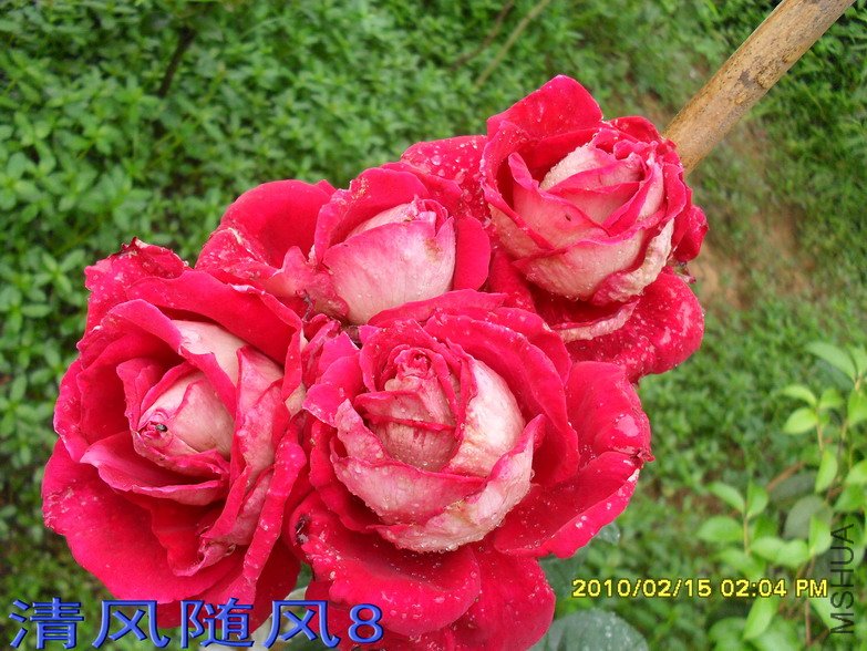 �����Ѿ�11 (8).jpg