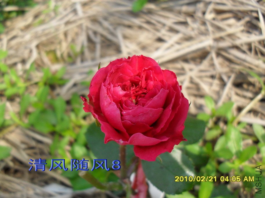 ��ɫ�����11 (5).jpg